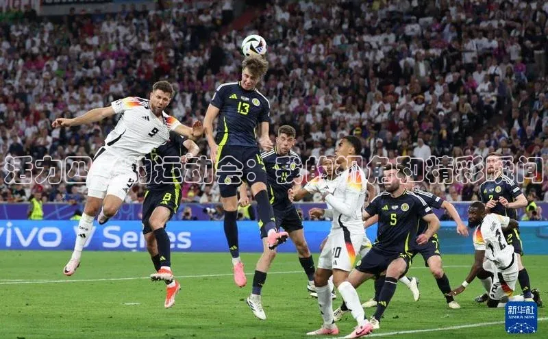 杏耀手机网页登录入口v2